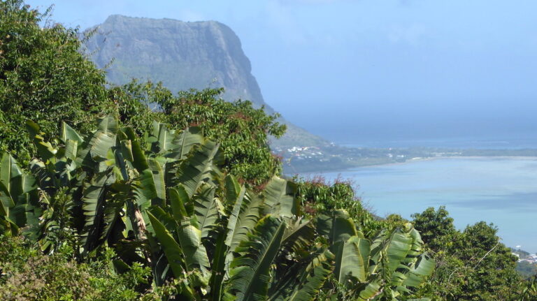 Palmen, Berg und Meer auf Mauritius